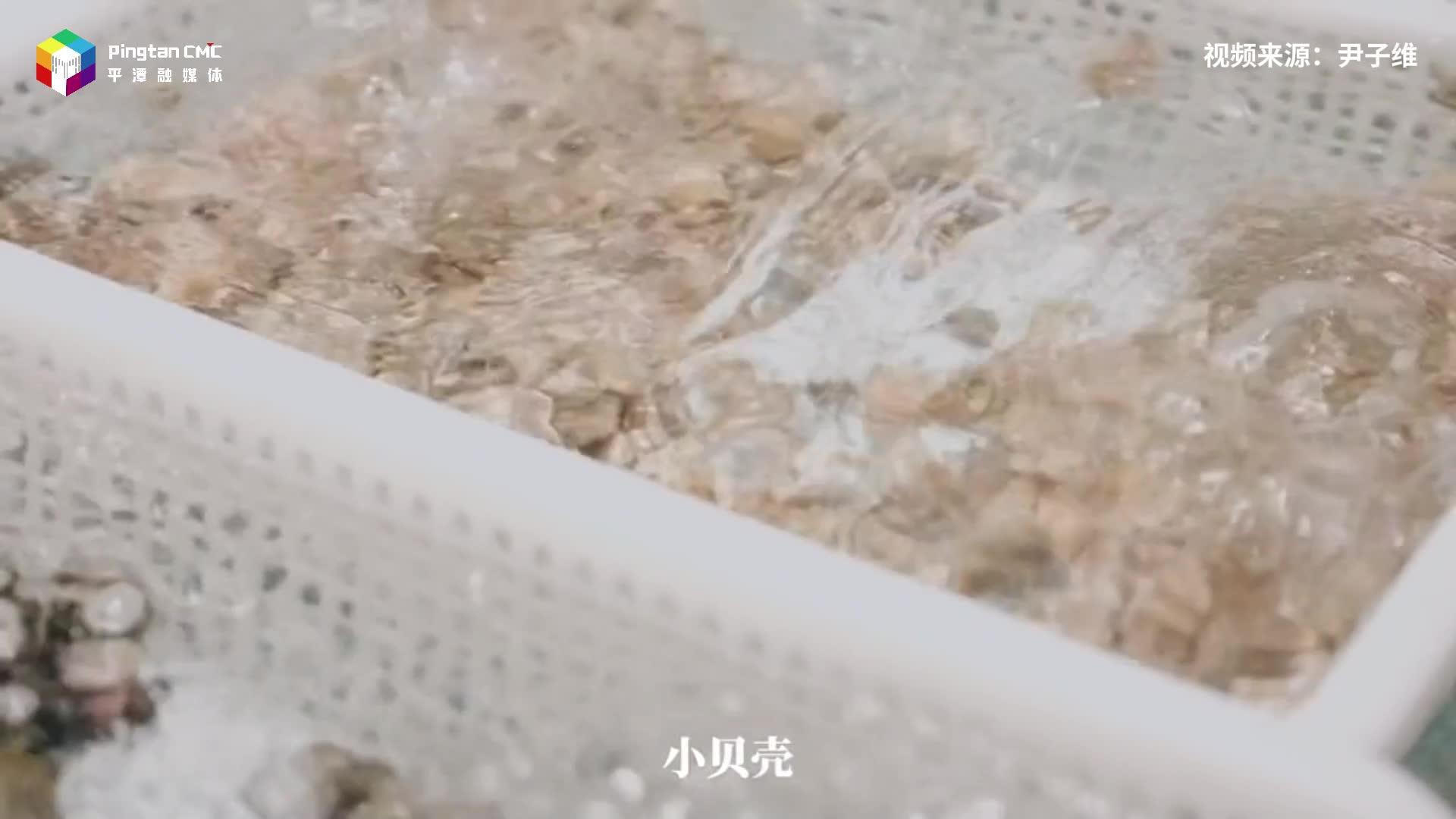 跟著博主尹子維，感受平潭夜晚的海鮮自由