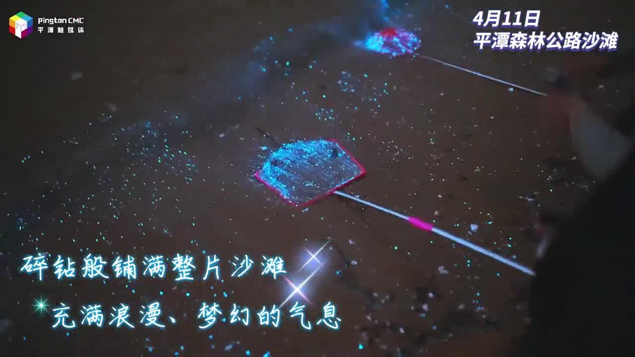 平潭藍眼淚如約而至