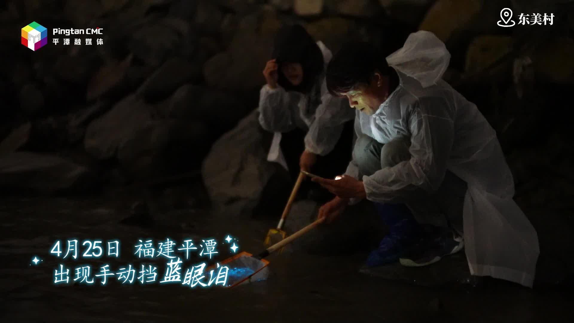平潭東美村藍(lán)眼淚手動(dòng)“上線(xiàn)”